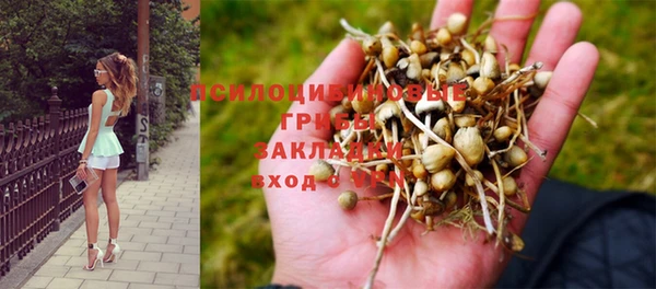 тгк Алексеевка